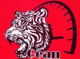Логотип GEAN